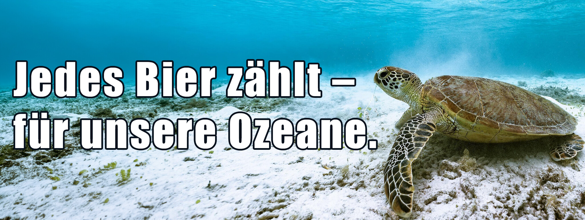 Dry January. Und jetzt?