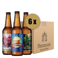 Ihr eigenes Bier 6 Flaschen 0,5 l